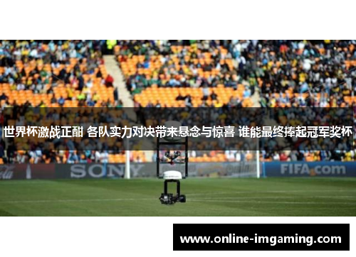 世界杯激战正酣 各队实力对决带来悬念与惊喜 谁能最终捧起冠军奖杯