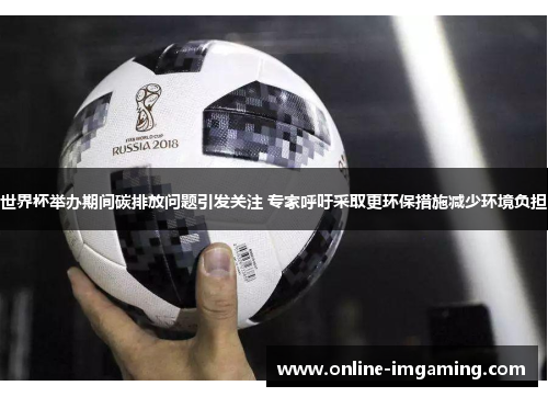 世界杯举办期间碳排放问题引发关注 专家呼吁采取更环保措施减少环境负担