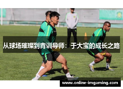 从球场璀璨到青训导师：于大宝的成长之路