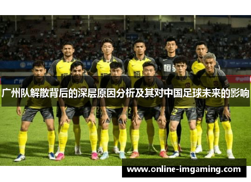 广州队解散背后的深层原因分析及其对中国足球未来的影响