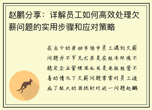 赵鹏分享：详解员工如何高效处理欠薪问题的实用步骤和应对策略